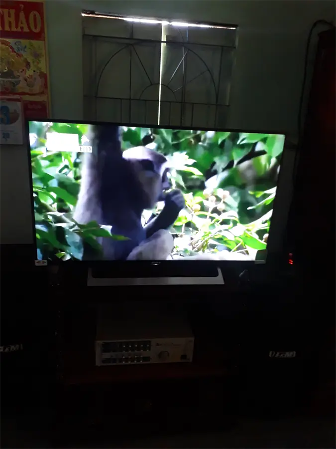Khách hàng review Android Tivi Sony 4K 43 inch KD-43X8000E 16