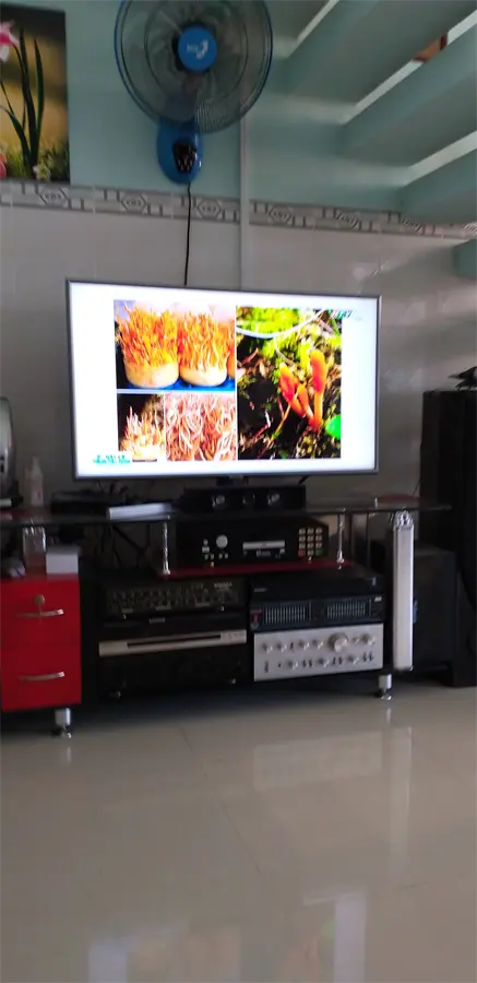 Khách hàng review Smart Tivi Samsung 4K 43 inch UA43NU7400 58