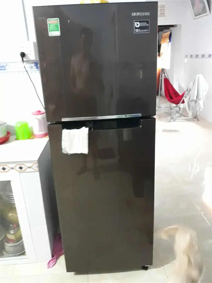 Khách hàng review Tủ lạnh Samsung Inverter 236 lít RT22M4032DX/SV 47