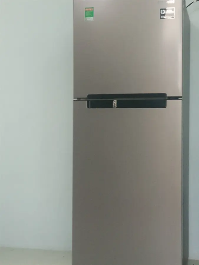 Khách hàng review Tủ lạnh Samsung Inverter 208 lít RT19M300BGS/SV 94