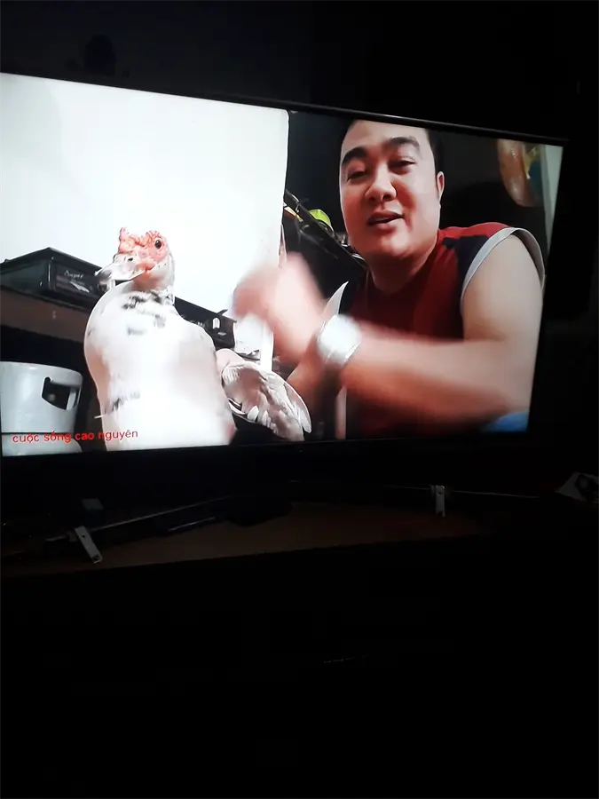 Khách hàng review Smart Tivi Samsung 4K 43 inch UA43NU7400 37