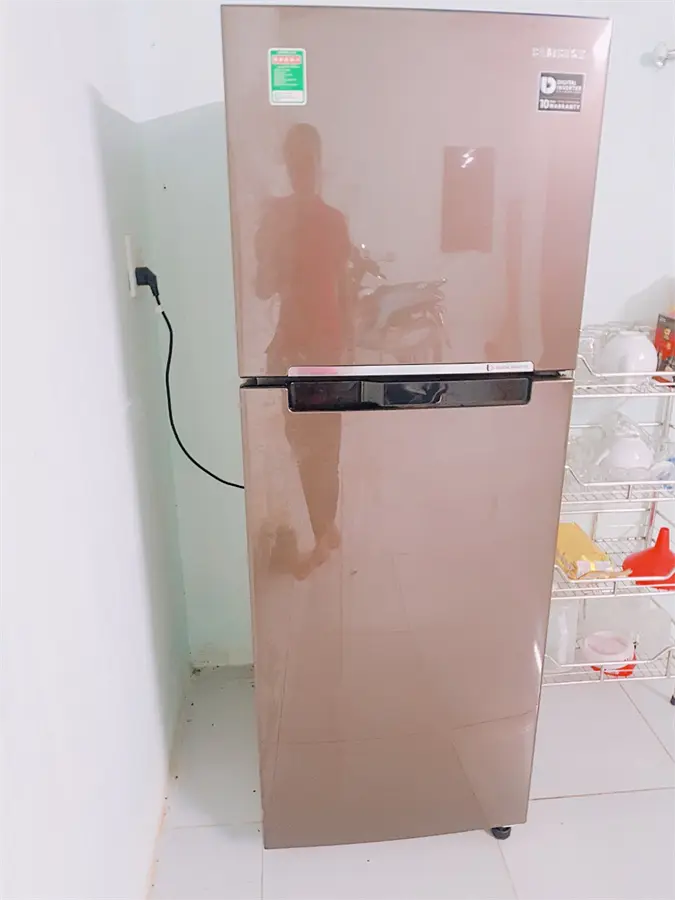 Khách hàng review Tủ lạnh Samsung Inverter 236 lít RT22M4032DX/SV 19