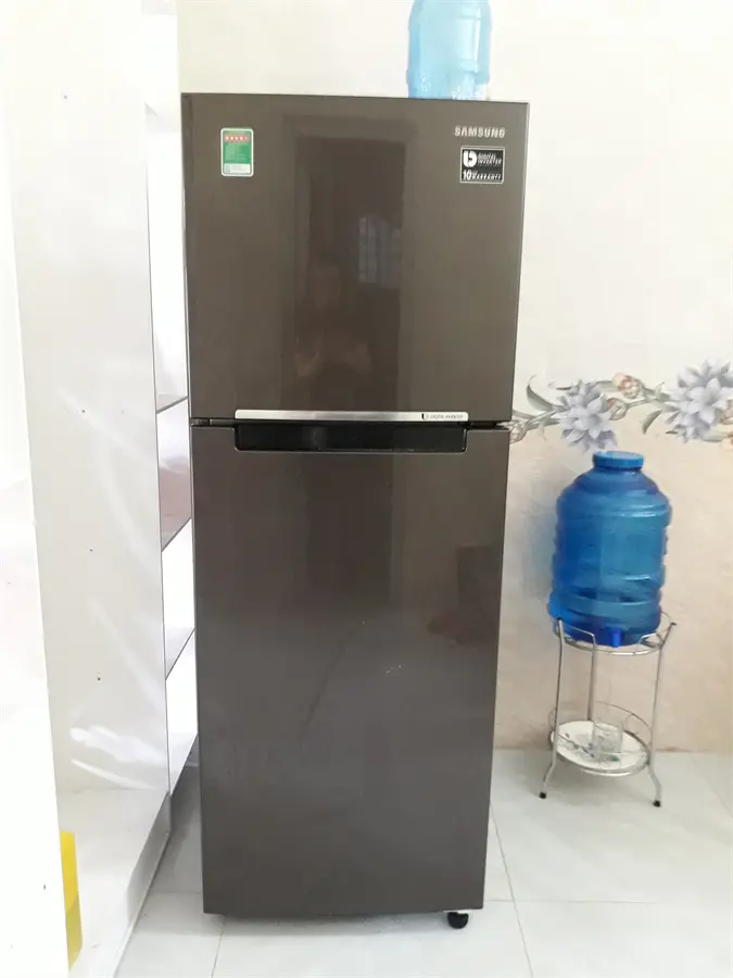 Khách hàng review Tủ lạnh Samsung Inverter 236 lít RT22M4032DX/SV 16
