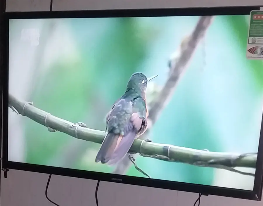 Khách hàng review Smart Tivi Samsung 32 inch UA32N4300 49
