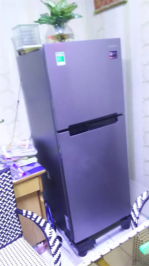Khách hàng review Tủ lạnh Samsung Inverter 208 lít RT19M300BGS/SV 48