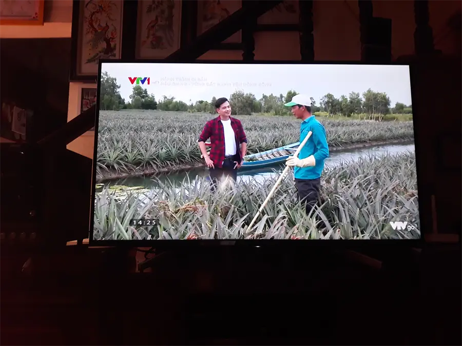 Khách hàng review Android Tivi Sony 49 inch KDL-49W800G 5
