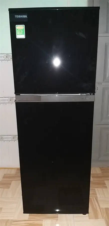 Khách hàng review Tủ lạnh Toshiba Inverter 233 lít GR-A28VM(UKG) 9