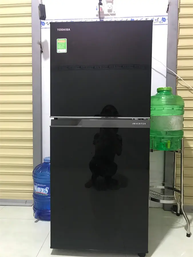Khách hàng review Tủ lạnh Toshiba Inverter 180 lít GR-B22VU UKG 84