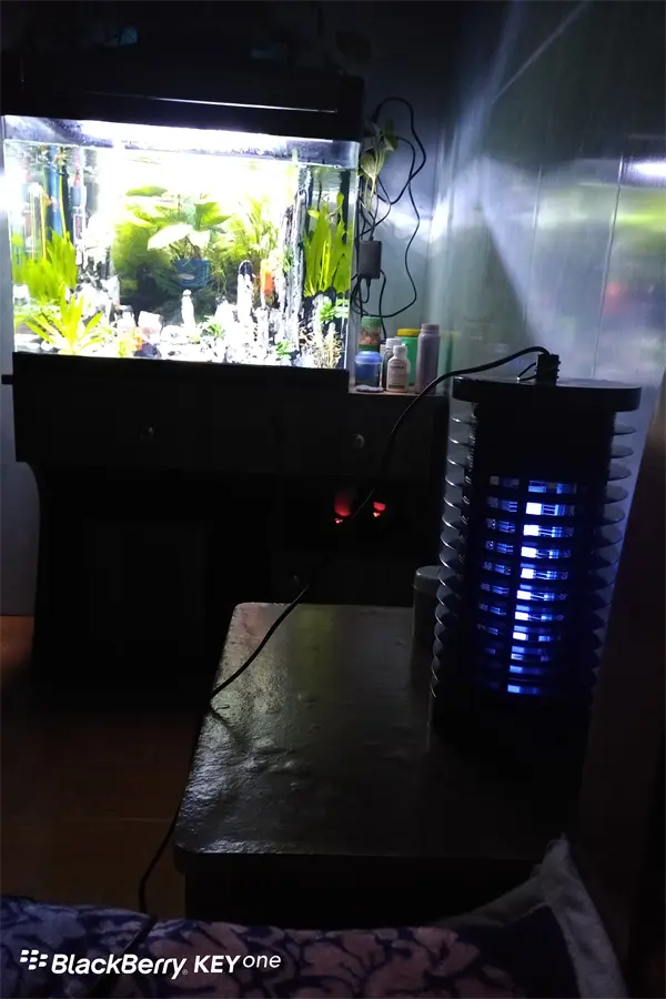 hách hàng review Đèn bắt muỗi Điện Quang ĐQ EML02 BL 6