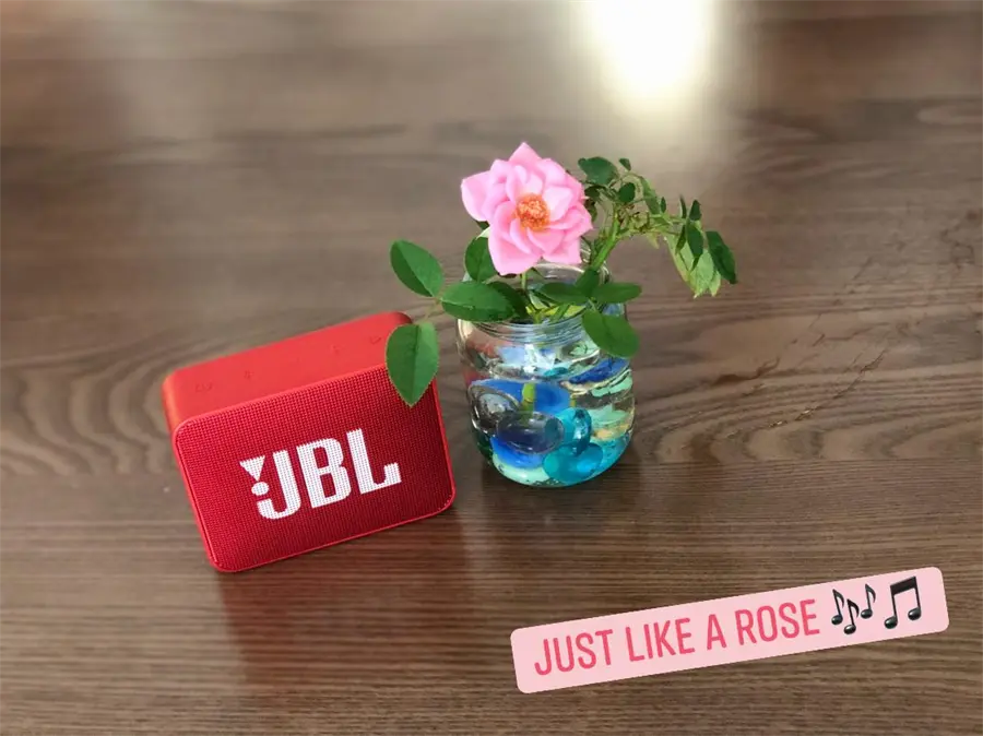 Khách hàng review Loa Bluetooth JBL GO2 9