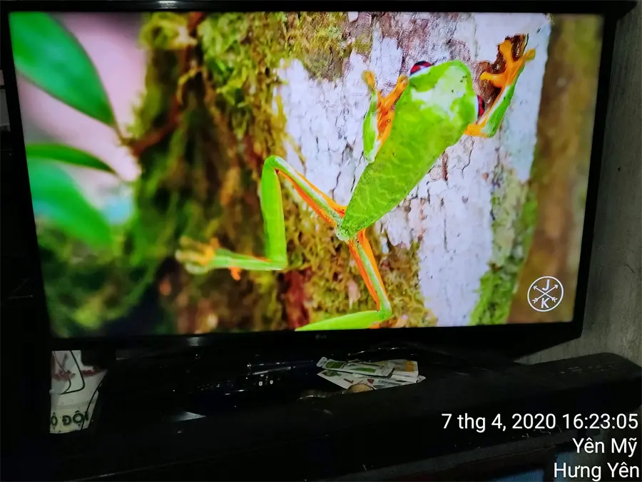 Khách hàng review Smart Tivi LG 4K 43 inch 43UM7400PTA 58