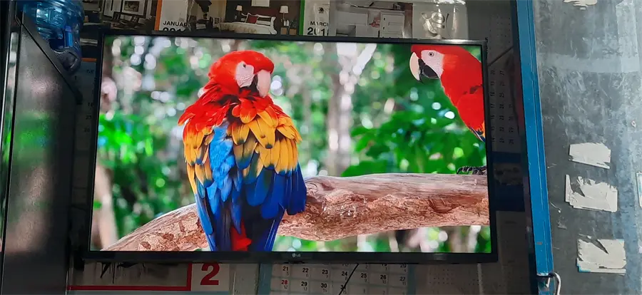 Khách hàng review Smart Tivi LG 4K 43 inch 43UM7300PTA 4