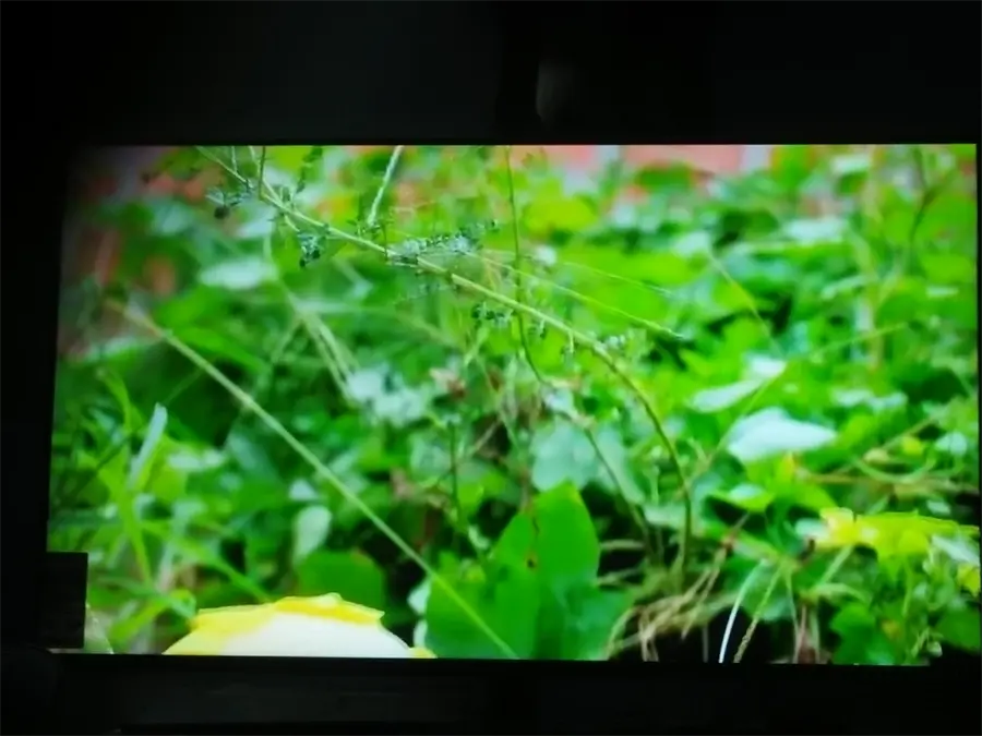 Khách hàng review Smart Tivi NanoCell LG 4K 49 inch 49SM8100PTA 53