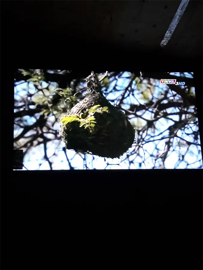 Khách hàng review Smart Tivi NanoCell LG 4K 49 inch 49SM8100PTA 38