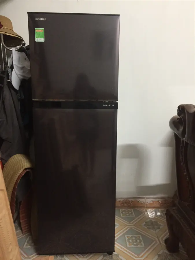 Khách hàng review Tủ lạnh Toshiba Inverter 253 lít GR-B31VU SK 19
