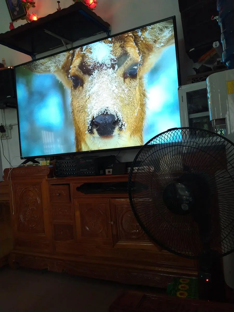 Khách hàng review Smart Tivi LG 4K 75 inch 75UM7500PTA 3