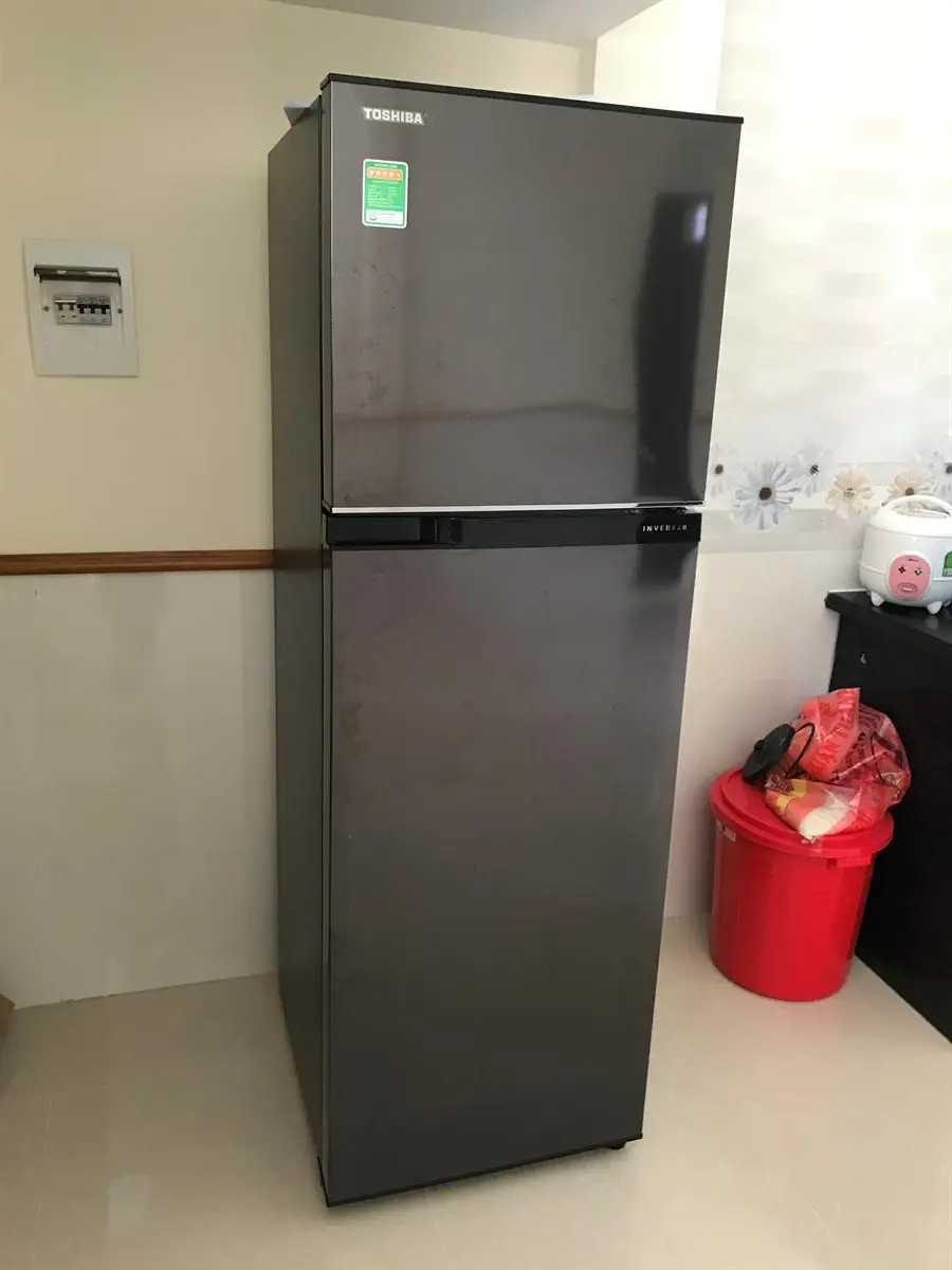 Khách hàng review Tủ lạnh Toshiba Inverter 253 lít GR-B31VU SK 17