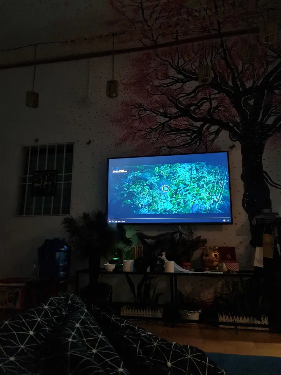 Khách hàng review Smart Tivi LG 4K 65 inch 65UN7290PTF 3