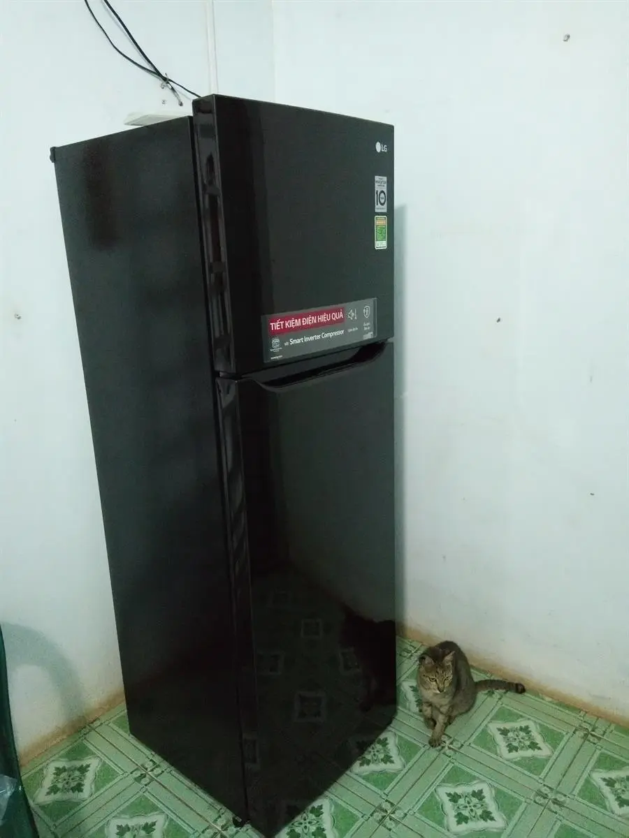 Khách hàng review Tủ lạnh LG Inverter 255 lít GN-M255BL 23