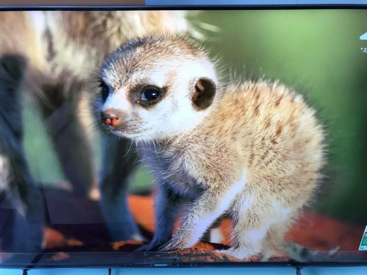 Khách hàng review Android Tivi Sony 4K 55 inch KD-55X9000H 8