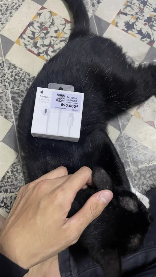 Khách hàng review Tai nghe Có Dây Apple MMTN2 18