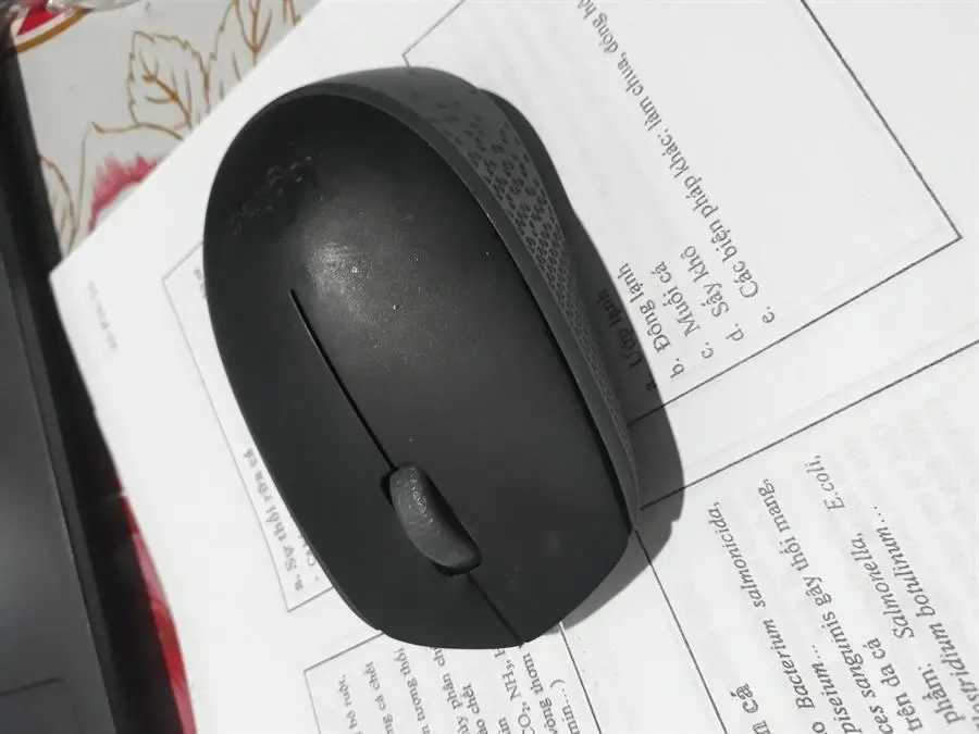 Khách hàng review Chuột Không dây Logitech M170 12