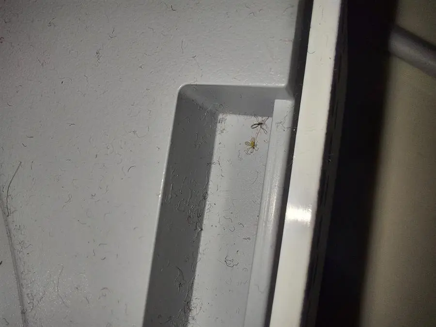 Khách hàng review Máy lọc không khí Xiaomi Mi Air Purifier 3H 2