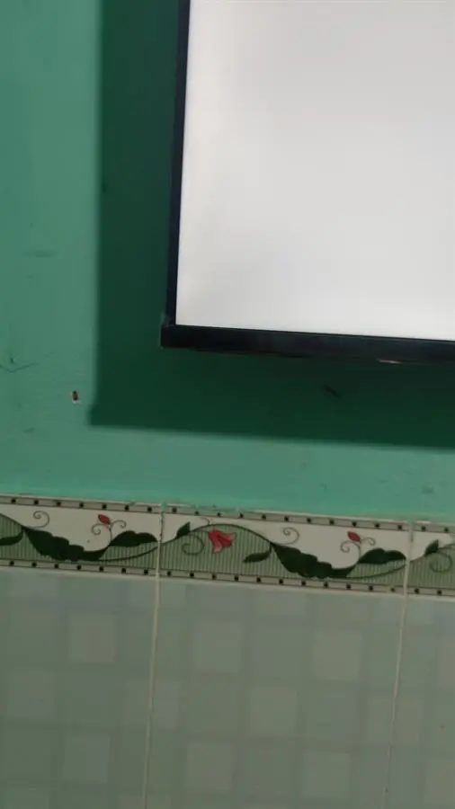 Khách hàng review Android Tivi TCL 40 inch L40S66A 19