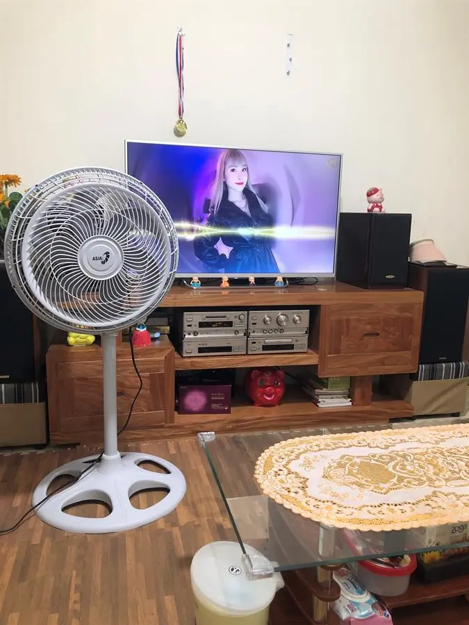 Khách hàng review Quạt đứng Asia Turbo DTB1601-XV0 16