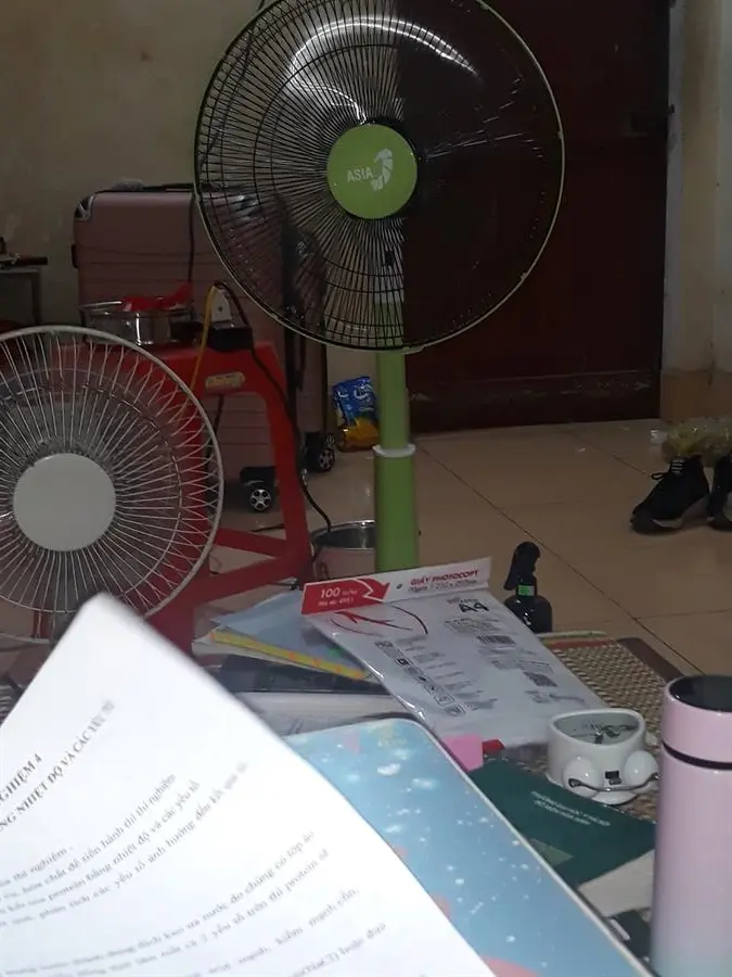 Khách hàng review Quạt lửng Asia A16019 1
