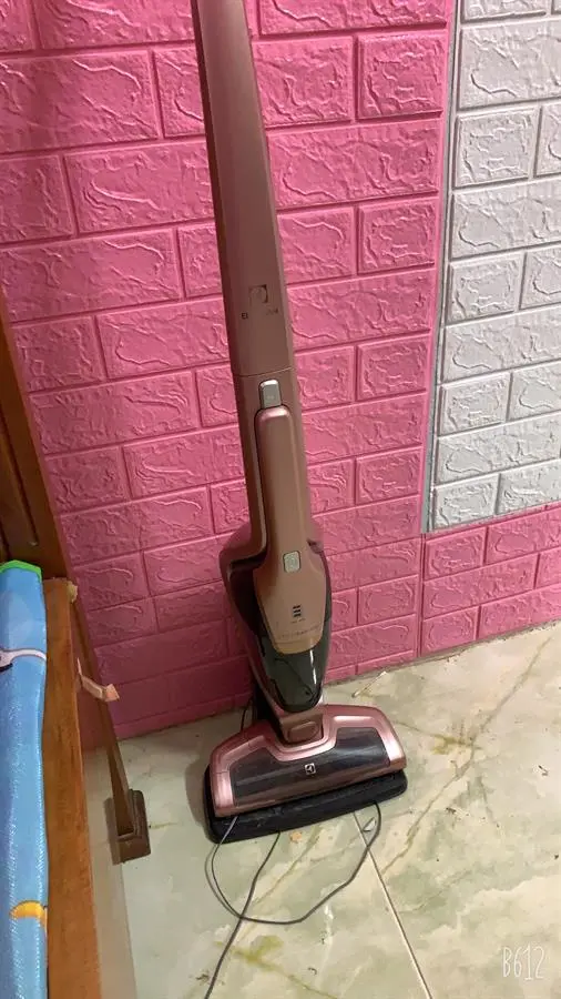 Khách hàng review Máy hút bụi không dây Electrolux ZB3314AK 13