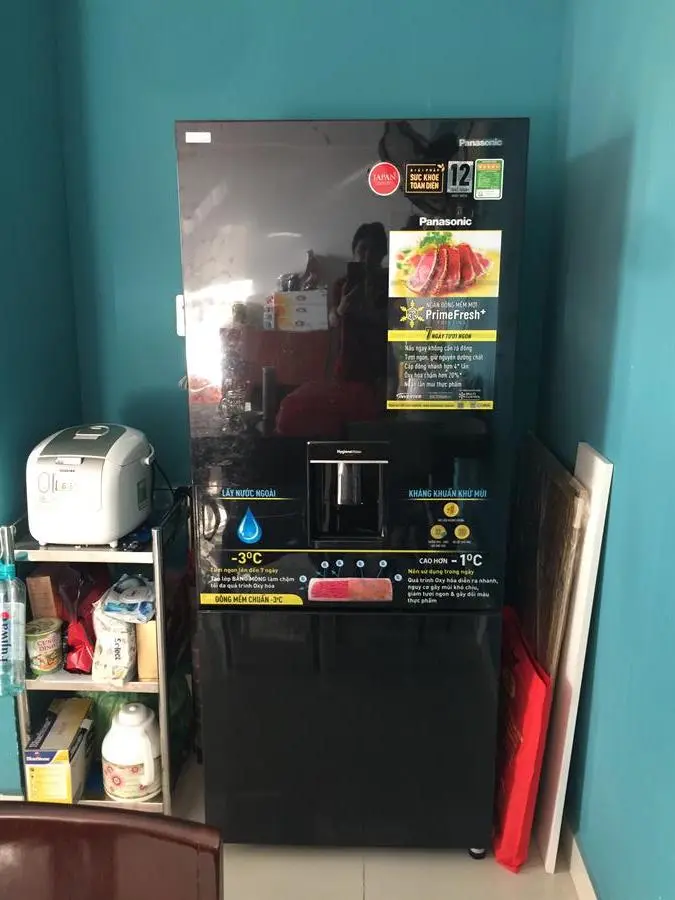 Khách hàng review Tủ lạnh Panasonic Inverter 377 lít NR-BX421GPKV 55