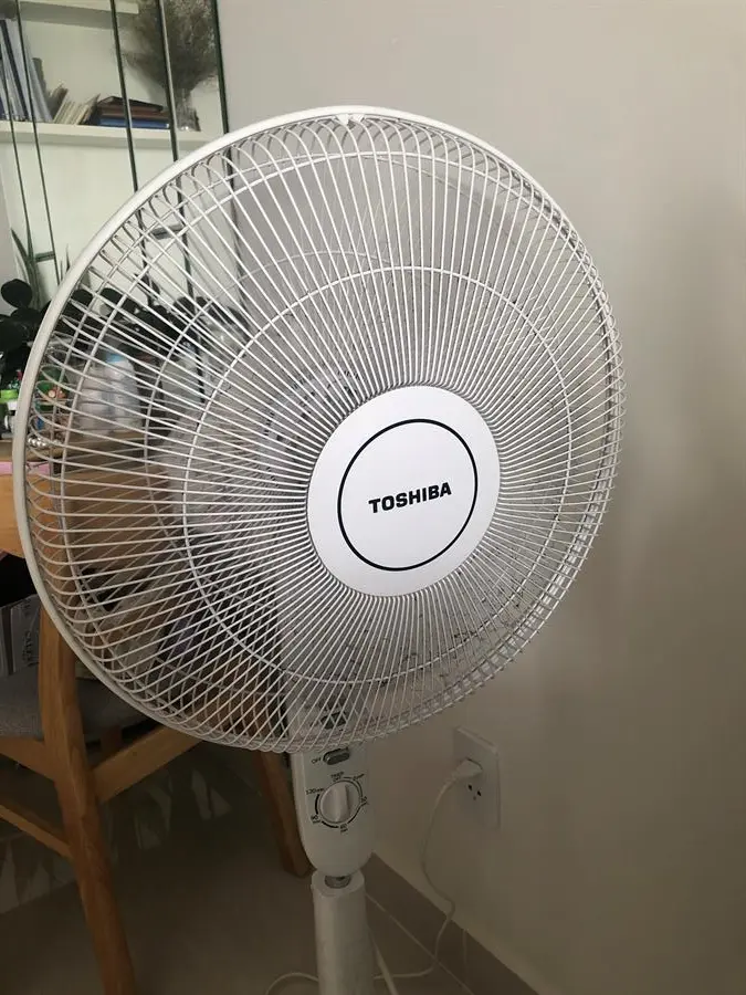 Khách hàng review Quạt đứng Toshiba 5 cánh F-LSA10(W)VN 50W 21