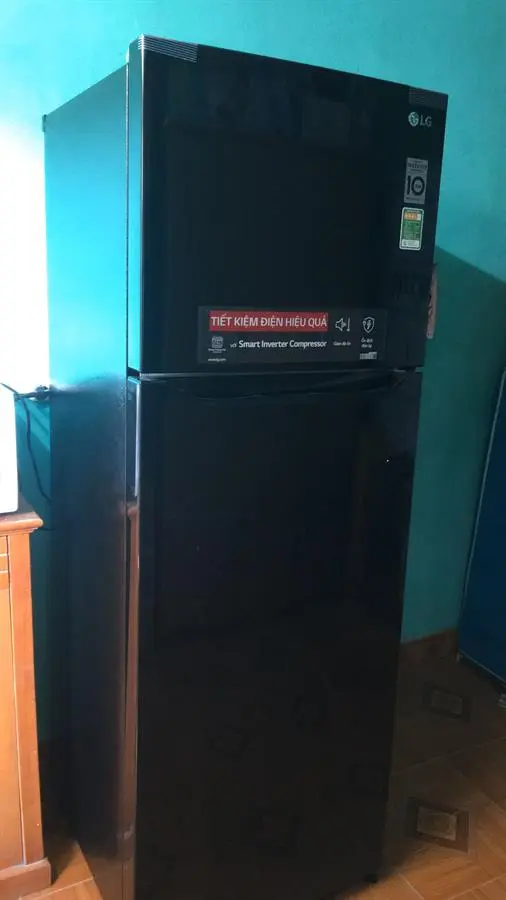 Khách hàng review Tủ lạnh LG Inverter 315 lít GN-M315BL 3