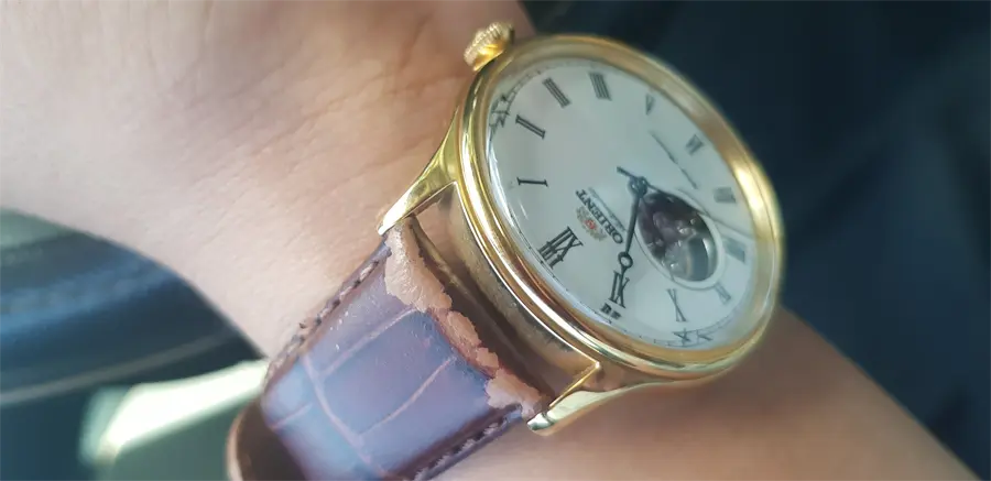 Khách hàng review Đồng hồ ORIENT Bambino 43 mm Nam FAG00002W0 2
