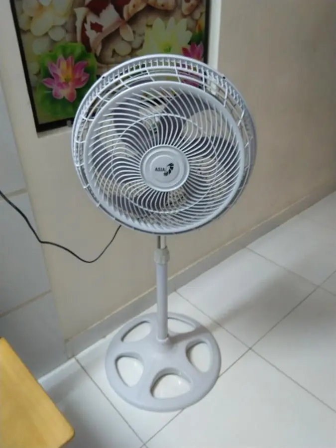 Khách hàng review Quạt đứng Asia Turbo DTB1601-XV0 12