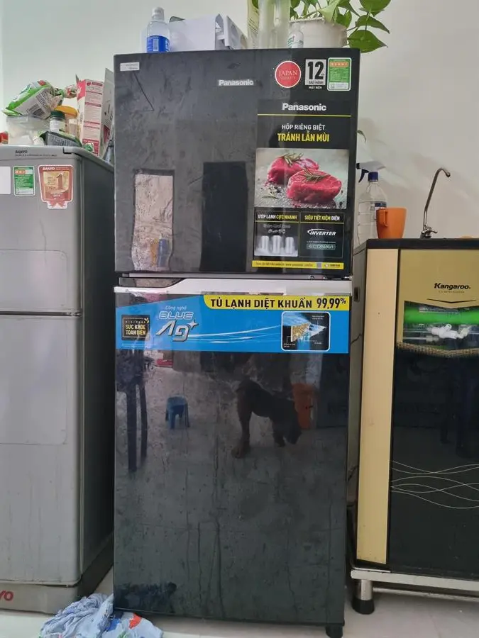 Khách hàng review Tủ lạnh Panasonic Inverter 234 lít NR-TV261BPKV 85