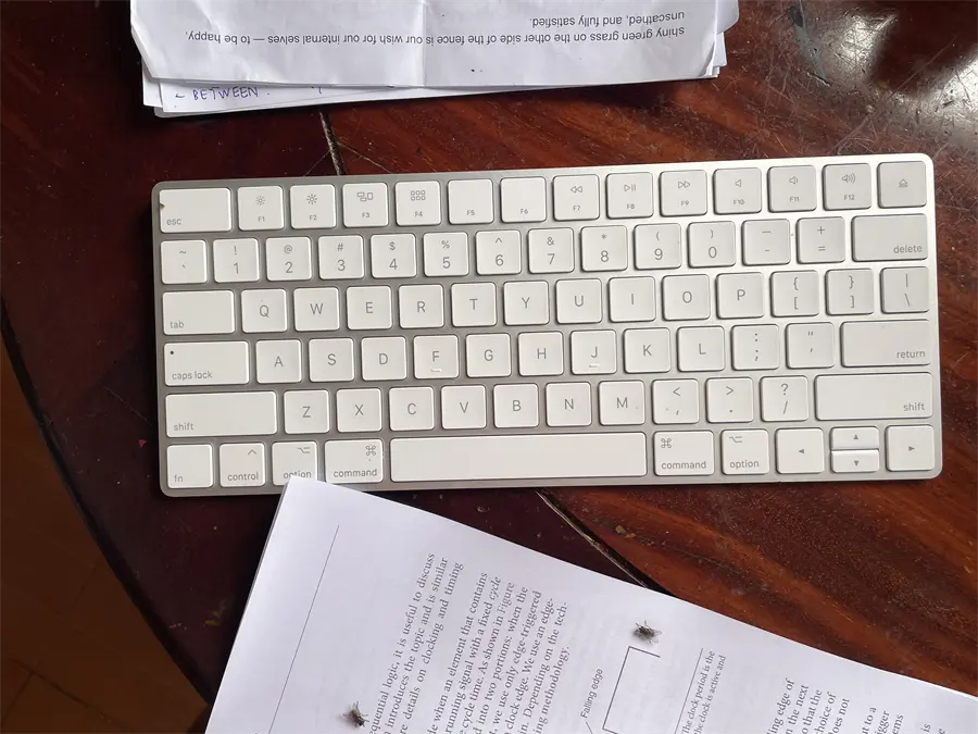 Khách hàng review Bàn phím Magic Keyboard US Apple MLA22 1