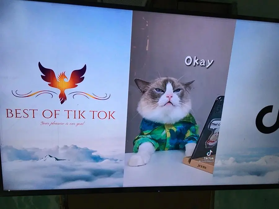 Khách hàng review Android Tivi Sony 4K 50 inch KD-50X75 33
