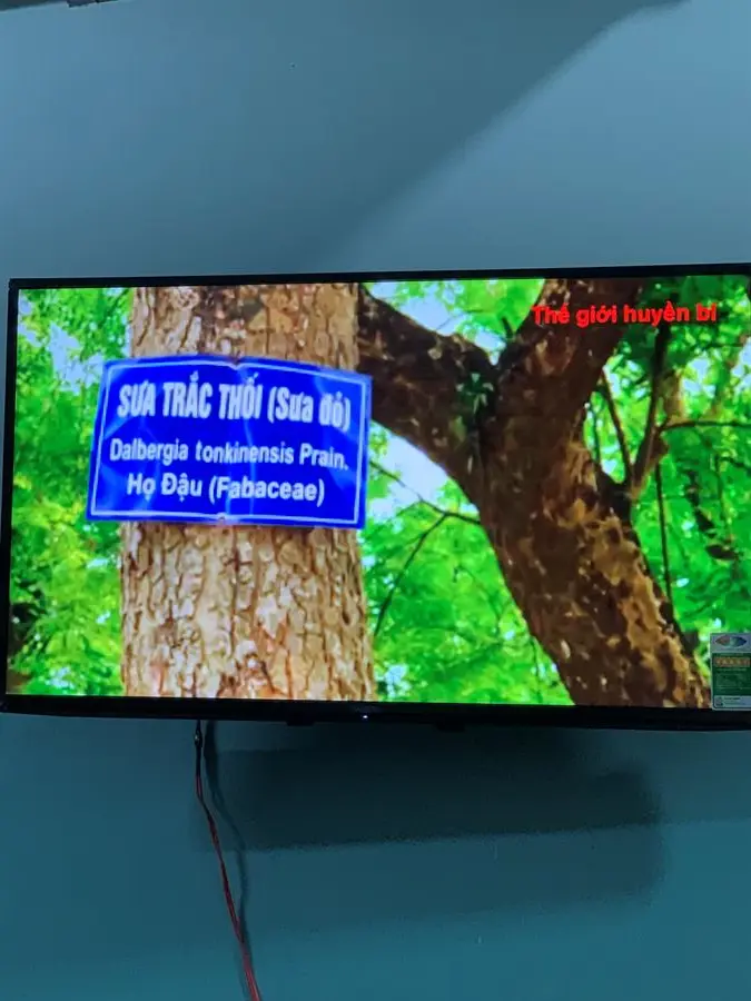 Khách hàng review Android Tivi Sony 4K 43 inch KD-43X75 33