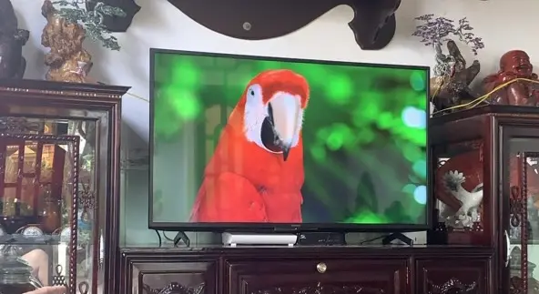 Khách hàng review Android Tivi Sony 4K 43 inch KD-43X75 16