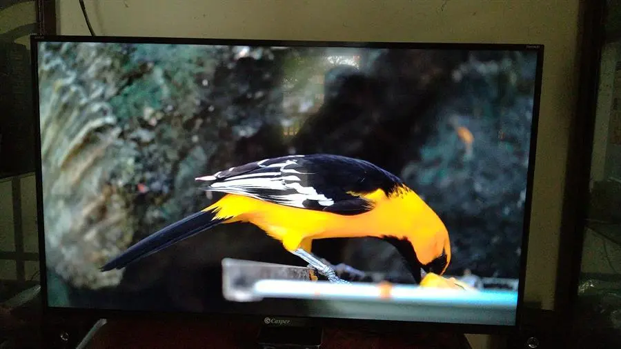 Khách hàng review Android Tivi Casper 43 inch 43FG5200 13