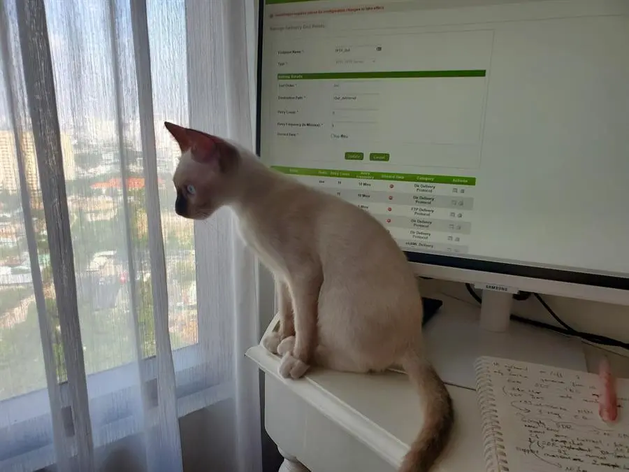Khách hàng review Màn hình thông minh Samsung Smart Monitor M5 27 inch Full HD - Remote (LS27AM501NEXXV) 1