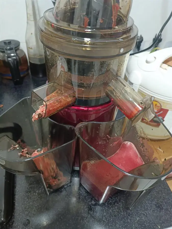 Khách hàng review Máy ép chậm Hommy ZZJ834L 6