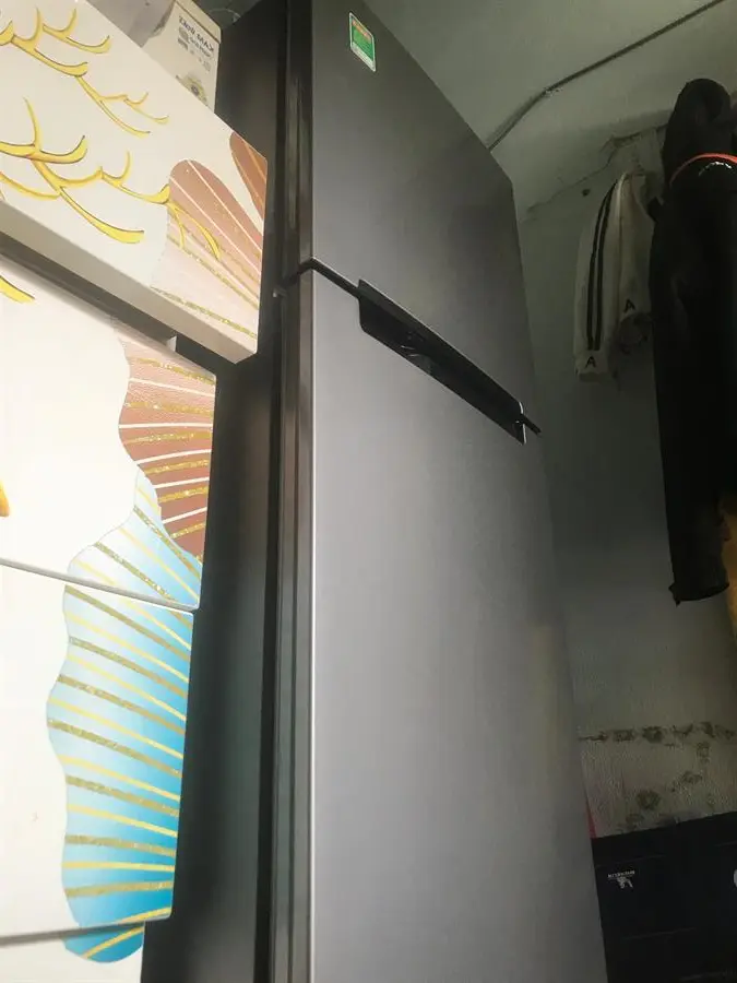 Khách hàng review Tủ lạnh Samsung Inverter 208 lít RT19M300BGS/SV 20