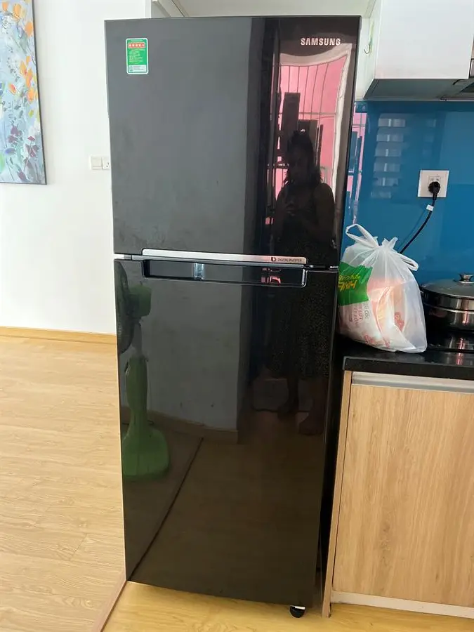 Khách hàng review Tủ lạnh Samsung Inverter 236 lít RT22M4032BU/SV 14