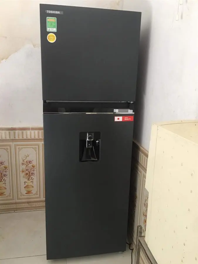 Khách hàng review Tủ lạnh Toshiba Inverter 337 lít GR-RT435WE-PMV(06)-MG 2