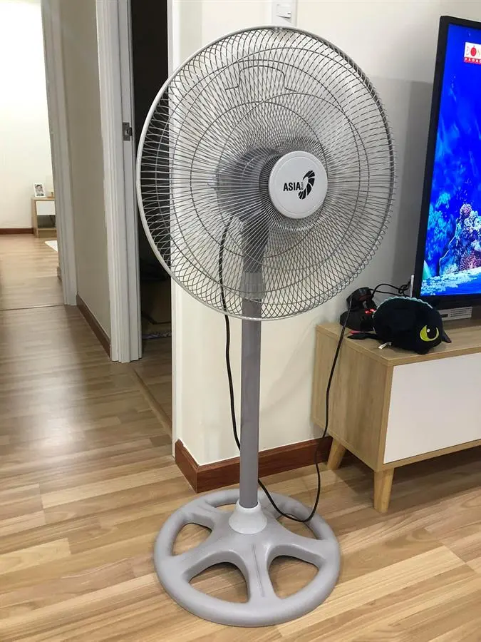 Khách hàng review Quạt đứng Asia 5 cánh D18004-XV1 55W 3