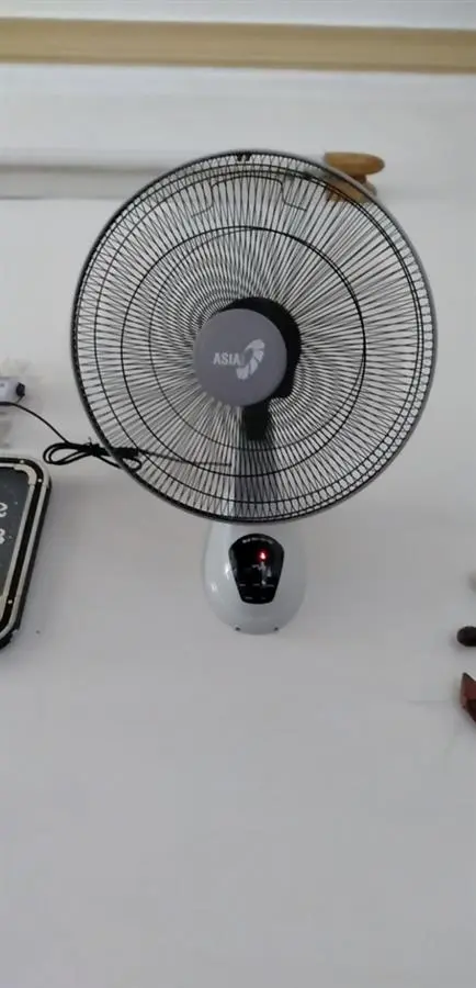 Khách hàng review Quạt treo tường Asia 3 cánh L16006-XV0 55W 15