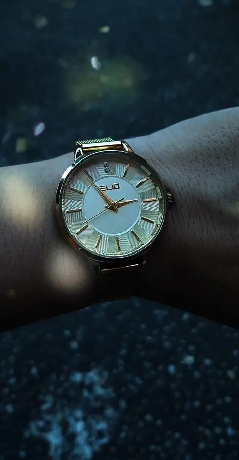 Khách hàng review Đồng hồ ELIO 33 mm Nữ ES008-01 2